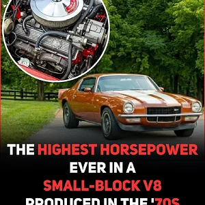 Media '1771379797135.webp' in category 'Off Topic'