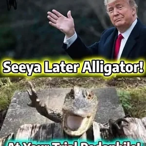 Media '1771609230421.webp' in category 'Off Topic'