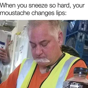 Media 'Stache.webp' in category 'Off Topic'