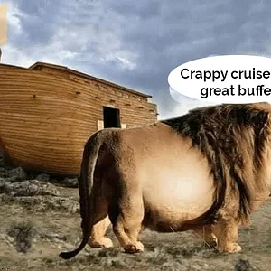 Media '245387183_2522089347932544_1747078519450444659_n.webp' in category 'Off Topic'