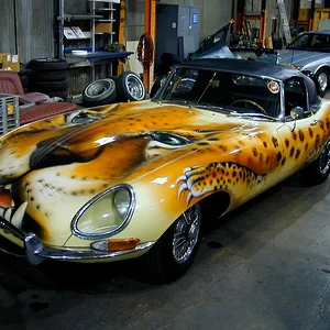 Media '3a3274ace10576d1d15dc97f7f956353-4044329252.webp' in category 'Off Topic'