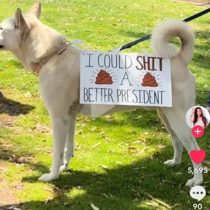 Media 'cid_52acc8ce-08f0-442b-9ef6-5455dd42b45b.webp' in category 'Off Topic'