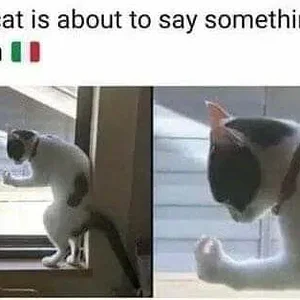 Media 'Meowmamia.webp' in category 'Off Topic'