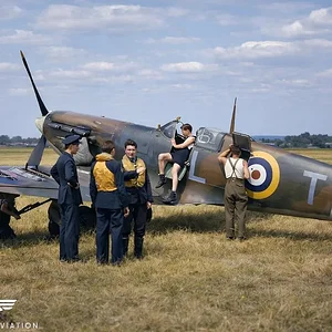 Media '1772377165470.webp' in category 'Off Topic'