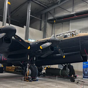 Media '1772400351999.webp' in category 'Off Topic'