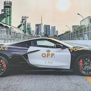 Media '1772490864204.webp' in category 'Off Topic'