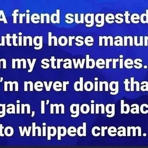 Media 'a0dc7ded33161a8603bf226911821429d32f424a7beab0894e9da4ea65422a7e.webp' in category 'Off Topic'