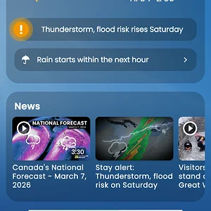 Media 'Screenshot_20260307-113219.webp' in category 'Corvette C8'