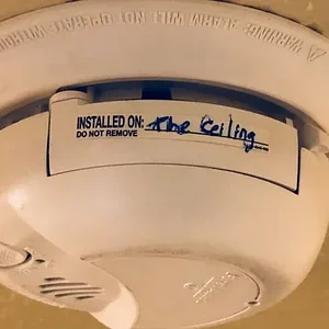 Media '1606849460266.webp' in category 'Off Topic'