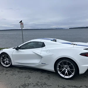 Media 'F2D5ADB6-0718-4EBB-AB54-443BEC5342E8.webp' in category 'Corvette C8'