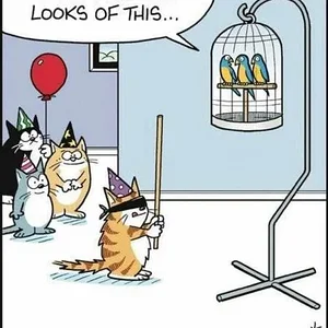 Media '6d744a3c4835b9cb0d9807859fa098a765caa917a23e32d2174e410a0e47a6c4.webp' in category 'Off Topic'