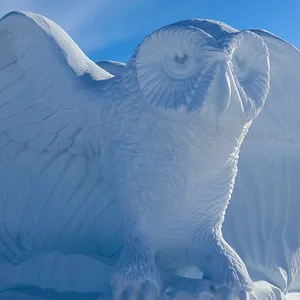 Media 'IMG_0003-2048x1365.jpg.webp' in category 'Off Topic'