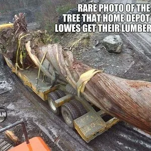 Media '37a7f5067d7a13b23a6d5a4411c0b3d4a8fc085c19b249d8303501224bb6df01.webp' in category 'Off Topic'