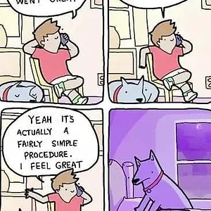 Media 'Where-are-my-balls-Summer.webp' in category 'Off Topic'