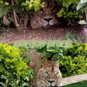 garden prank.webp