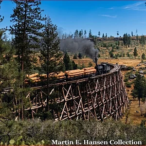 Media '1775227822878.webp' in category 'Off Topic'