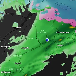 Media 'Screenshot 2026-04-05 at 3.48.44 PM.webp' in category 'Corvette C8'