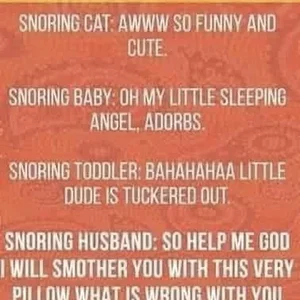 Media '1000005057.webp' in category 'Off Topic'