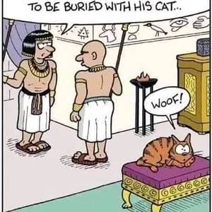 Media '1658310758112.webp' in category 'Off Topic'