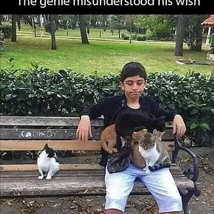 Media 'Be-careful-what-you-wish-for.webp' in category 'Off Topic'