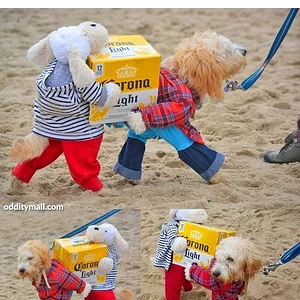 Media '3E4DD270-A02A-4157-95D5-B825ED615F39.webp' in category 'Off Topic'