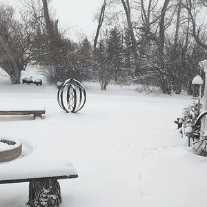 Media 'PXL_20260416_141618790.webp' in category 'Regional Pics'