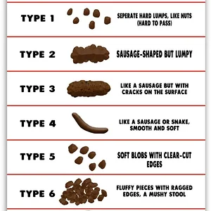 Media 'Jennifer+Caryn+Brand+Nutrition,+Bristol+Stool+Chart-1103217569.webp' in category 'Off Topic'