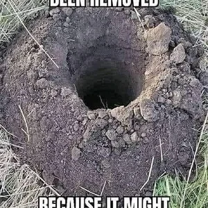 Media '1654794455211.webp' in category 'Off Topic'