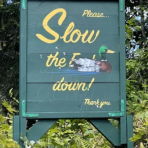 Media '1663363355426.webp' in category 'Off Topic'