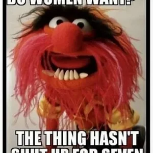 Media 'alexa.webp' in category 'Off Topic'