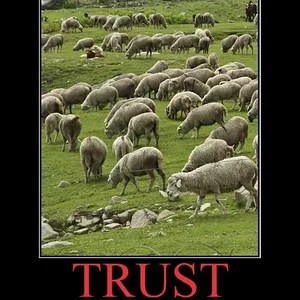 Media '9bd77f460acce350728a5d4920b3342a8477bba4c5293c59846a4b6f2c466407.webp' in category 'Off Topic'