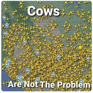 Media '1662743889068.webp' in category 'Off Topic'