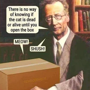 schroedinger.webp