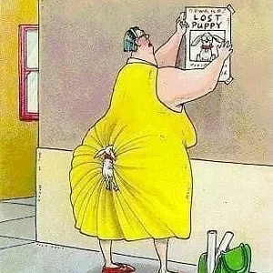 Media '1665671980843.webp' in category 'Off Topic'