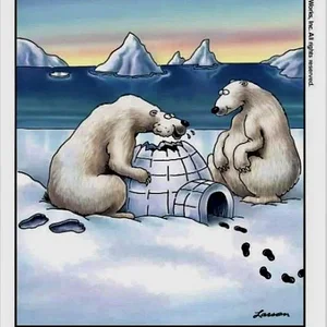 Media 'b9f73ff7c2fd6c5237682595e2f187cd0ed2dd0acff9753d8c948c7c3f94b116.webp' in category 'Off Topic'