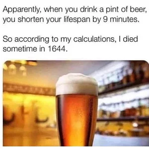 drink-pint-beer-shorten-lifespan-by-9-minutes-so-according-my-calculations-died-sometime-1644-l.webp