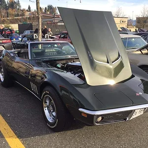 Media '1000008800.webp' in category 'Corvette C4'