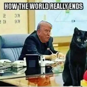 Media 'catnuke.webp' in category 'Off Topic'