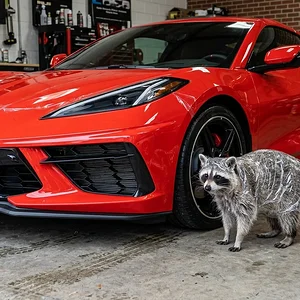 Media 'image_9947d766.webp' in category 'Corvette C8'