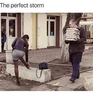 Media 'The-perfect-storm.webp' in category 'Off Topic'