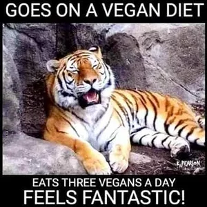 vegan.webp