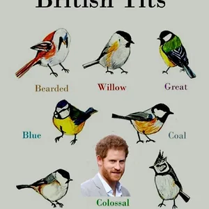 Media 'british-toots-v0-ktiv8yyw4xaa1.webp' in category 'Off Topic'