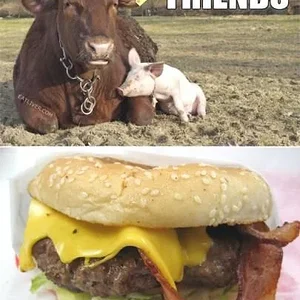 Media 'forever-best-friends-together-food-pig-cows-6981287936.webp' in category 'Off Topic'