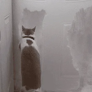 Media '12O2W.gif' in category 'Off Topic'