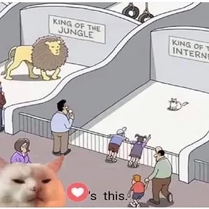 Media 'Cat-Meme-2.webp' in category 'Off Topic'