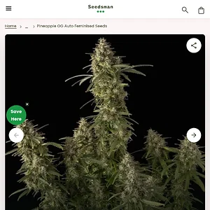 Media 'Screenshot_20260816_194430_DuckDuckGo.webp' in category 'Off Topic'