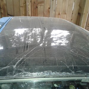 Uploaded via Android app.jpg