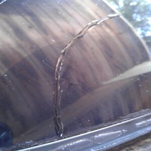 Uploaded via Android app.jpg