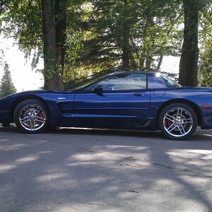 100_0101 (800x600).jpg