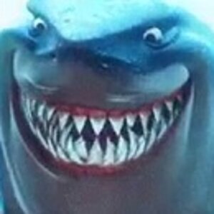 angry shark.jpg